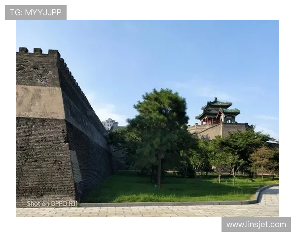 伯明翰俱乐部的历史发展与社会影响探讨及其在近代思想文化中的作用