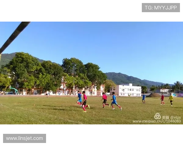 以斯温登俱乐部为核心探究英国小镇足球文化的传承与发展之路 以斯温登俱乐部为核心探究英国小镇足球文化的传承与发展之路