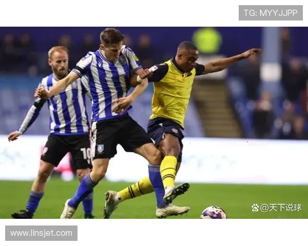 巴恩斯利俱乐部迎来新赛季挑战 全力争取英格兰冠军联赛晋级