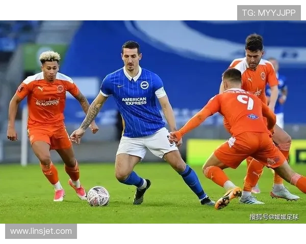 谢菲尔德星期三俱乐部的辉煌历程与未来发展展望